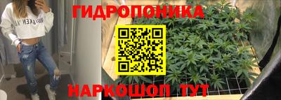 стафф Гусиноозёрск