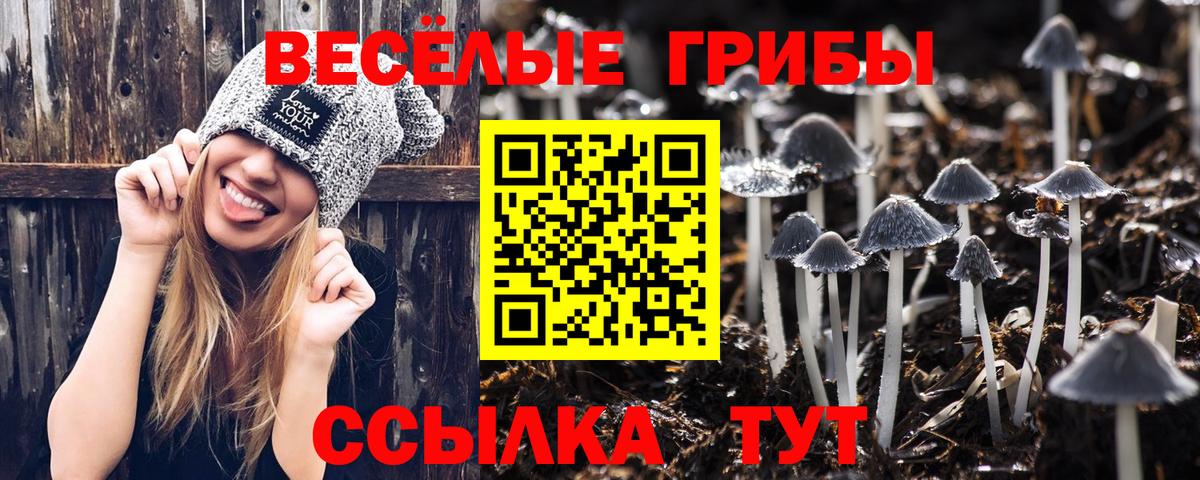 Псилоцибиновые грибы Cubensis Мурманск