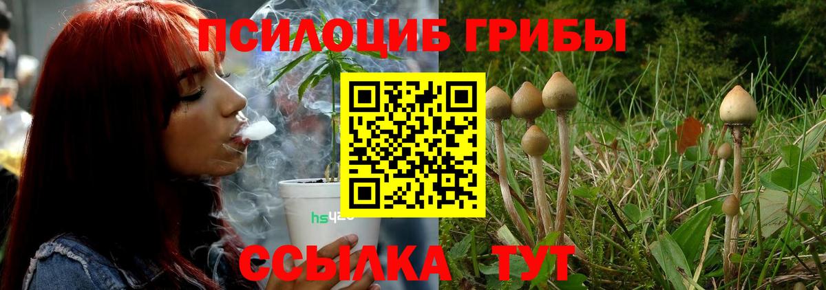 Галлюциногенные грибы прущие грибы  Псилоцибиновые грибы Psilocybe  Вход с VPN  Мурманск 